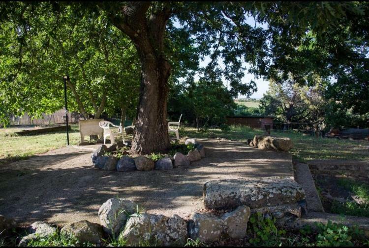 Favoloso Appartamento In Villa Monterosi Luaran gambar