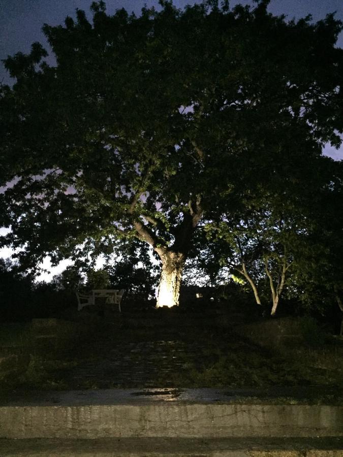 Favoloso Appartamento In Villa Monterosi Luaran gambar