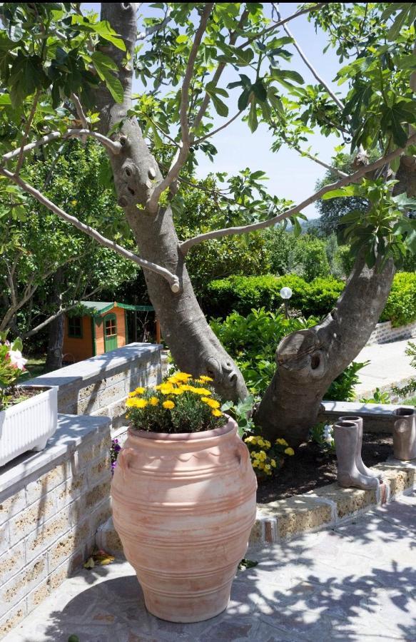 Favoloso Appartamento In Villa Monterosi Luaran gambar