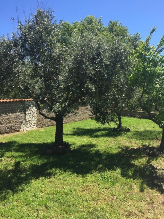 Favoloso Appartamento In Villa Monterosi Luaran gambar